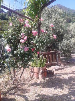 Aparthotel Villaggio Dei Balocchi